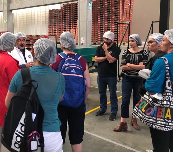 hairnets.jpeg