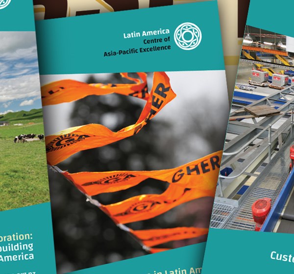 NZ INC REPORTS cover.jpg